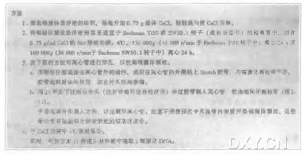 通过CsCl 等密度梯度离心纯化λ噬菌体颗粒实验