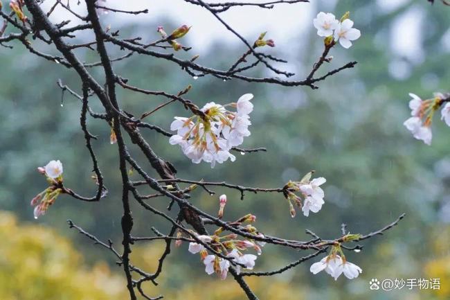 热恋期的生理性喜欢藏不住 身体信号揭示心动秘密