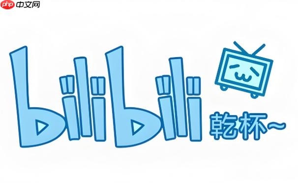 bilibili网页入口链接 bilibili官网登录入口指南