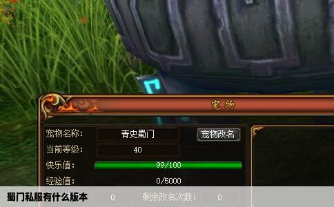 蜀门私服有什么版本