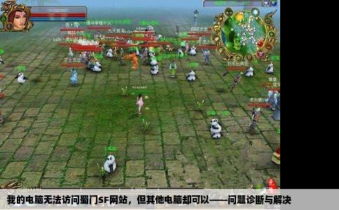 我的电脑无法访问蜀门SF网站，但其他电脑却可以——问题诊断与解决