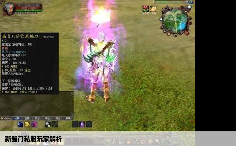 新蜀门私服玩家解析